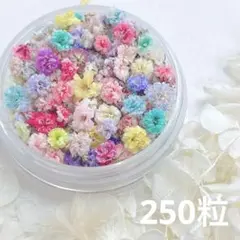 ～彩夜～Saiya～様 リクエスト 2点 まとめ商品