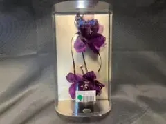 Item thumbnail for item 53b88612-39fd-49c3-9662-a4fe4e1f971b