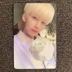 セブチ　ハピエン　トレカ　CARAT盤　ジョンハン