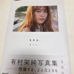 2026年最新】有村架純写真集souの人気アイテム - メルカリ