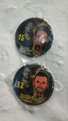 群馬クレインサンダーズ 15・32缶バッジ