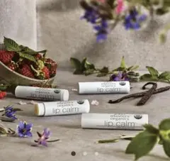 john masters organics リップクリームのサムネイル