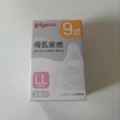 Item thumbnail for item 59f346c7-4c81-417b-937f-0abb8e100c95