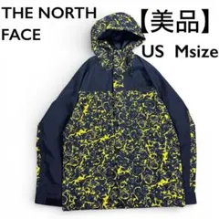 【極美品】ノースフェイスGORE-TEX マウンテンジャケット 総柄　L