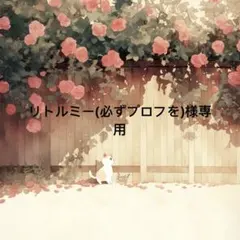 リトルミー(必ずプロフを) 様　専用