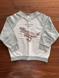 après les cours 恐竜　ティラノサウルス　トレーナー110センチ