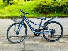 16インチ補助輪あり・川崎市・直接受渡しのみ】TOMICA 子供用自転車