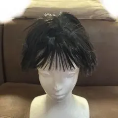 ウィッグ ブラック A20