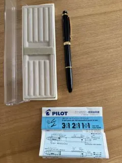 パイロット 高級ボールペン ライズ 株主優待 PILOT RAIZ マーブル模様