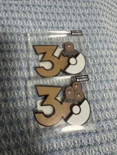 ポケモン 30周年記念 マグネット 2種セット ナックラー ビブラーバ
