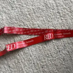 Ryosuke Yamada LIVE TOUR 2025 銀テ