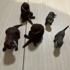 カワウソ　5つセット