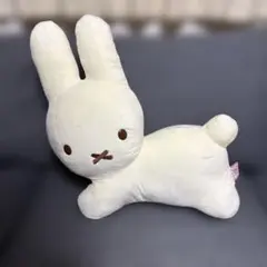 2025年最新】ブルーナ くじ ラストワンの人気アイテム - メルカリ