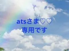 atsさま♡♡ 専用です