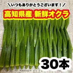 30本 高知県産 オクラ 野菜 即購入OK 産地直送 g2901のサムネイル