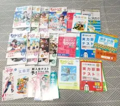 進研ゼミ 小学6年生 チャレンジ 教材セットのサムネイル