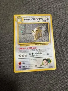 【美品】サカキのペルシアン含む進化セット 2025年最新】サカキのペルシアンの人気アイテム - メルカリ