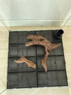 2026年最新】アクアリウム 流木 切り株の人気アイテム - メルカリ