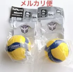 ハイキュー　MIKASA コラボBOX付きボール　白鳥沢学園高校　牛島　天童