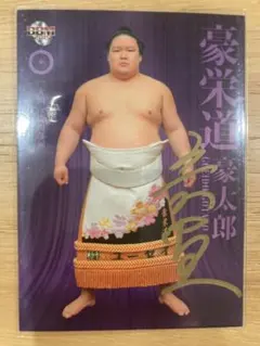 Item thumbnail for item d16a9208-8e16-42ce-aa97-e5dacd443544