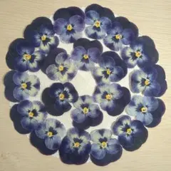 yuki様 リクエスト 8点 まとめ商品