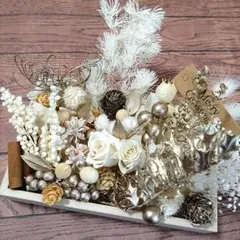 25℃ クリスマスローズ 苗 ソレイユ セット 2025年最新】ソレイユ クリスマスローズの人気アイテム - メルカリ