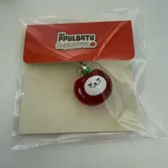 TXT プルバトゥ ヨンモン キーリング 初代 初期 TXT プルバトゥ ヨンモン キーリング 初代 初期PPULBATUオマケ付