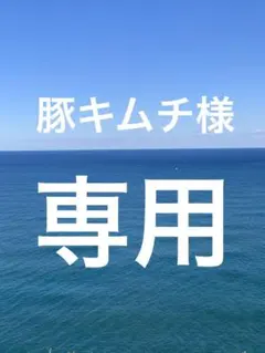 豚キムチ様　専用　取り置き