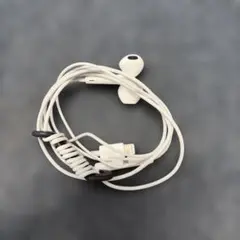 Apple EarPods Lightning