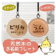 インコちゃんの✩.*˚天然木のお名前プレート　 手書きで名入れします♪