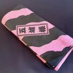 Item thumbnail for item c141df97-0b19-4e57-885f-9a94aff01599