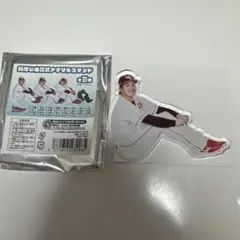 楽天イーグルス #51 小郷 選手 体育座り 分厚い自立式アクリルスタンド