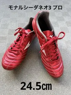 2025年最新】モレリアネオ3 24.5の人気アイテム - メルカリ