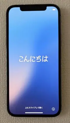 Apple iPhone12Pro 256GB グラファイト