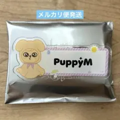 straykids skzoo ランダム　ネームバッジ　パピーム　スンミン