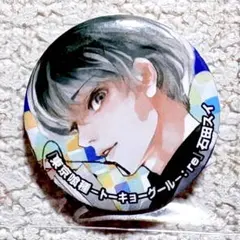 東京喰種 東京グール くじ引き堂 缶バッジ 金木研 12点セット 東京喰種 金木 研 くじ引き堂 缶バッジ トーキョーグール 佐々木 琲世