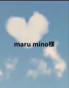 maru mino様 リクエスト 2点 まとめ商品