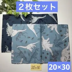 2枚組★小さめランチョンマット★給食ナフキン★ダイナソーC