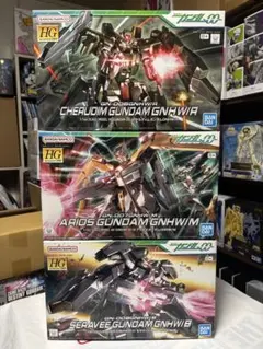 HG ケルディム アリオス セラヴィー GNHW/R M B 3種セット HG ケルディム アリオス セラヴィー GNHW/R M B 3種セット - メルカリ