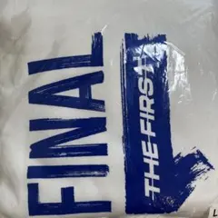 【新品未使用】THE FIRST FINAL パーカー　L