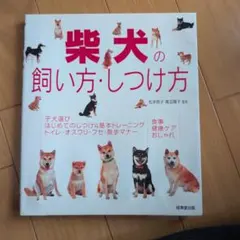 Item thumbnail for item b31c1874-9dbd-4b67-900a-db27b19e3372