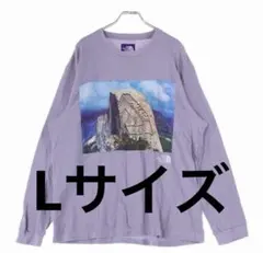 【激レア】パレス THE NORTH FACE ロンT Lサイズ