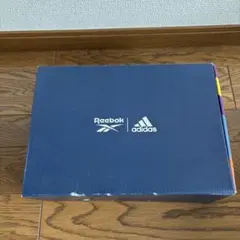 Reebok INSTAPUMP FURY BOOST