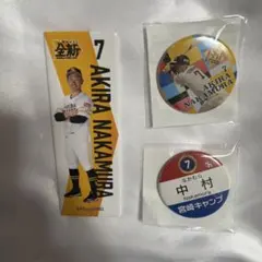 福岡ソフトバンクホークス 中村晃 缶バッジ 非売品 レア 限定 - メルカリ