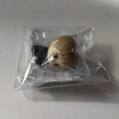 3年Z組銀八先生 まちぼうけ～問題児もスタンバってました～ 沖田総悟