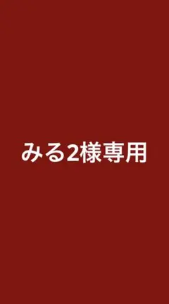 みる2さま専用ページです ご本人以外の購入はお控えください！