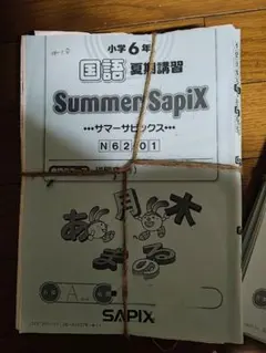 【かけ様確認用】国算社理のウィンター、サマーサピックス サピックス 3年生サ国語算数サマーウィンターデリー基礎力かん
