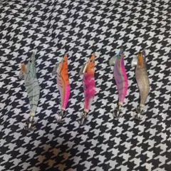 YAMASHITA　エギ王　5本セット