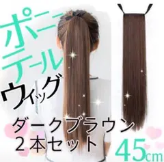 高品質 ❤️ サラサラ ストレート ダークブラウン ２本　45cm ウィッグ