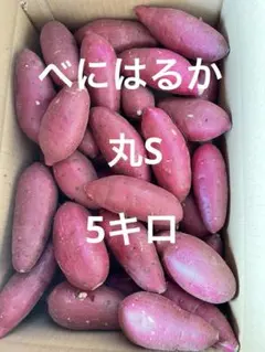 べにはるか　丸S 5キロのサムネイル